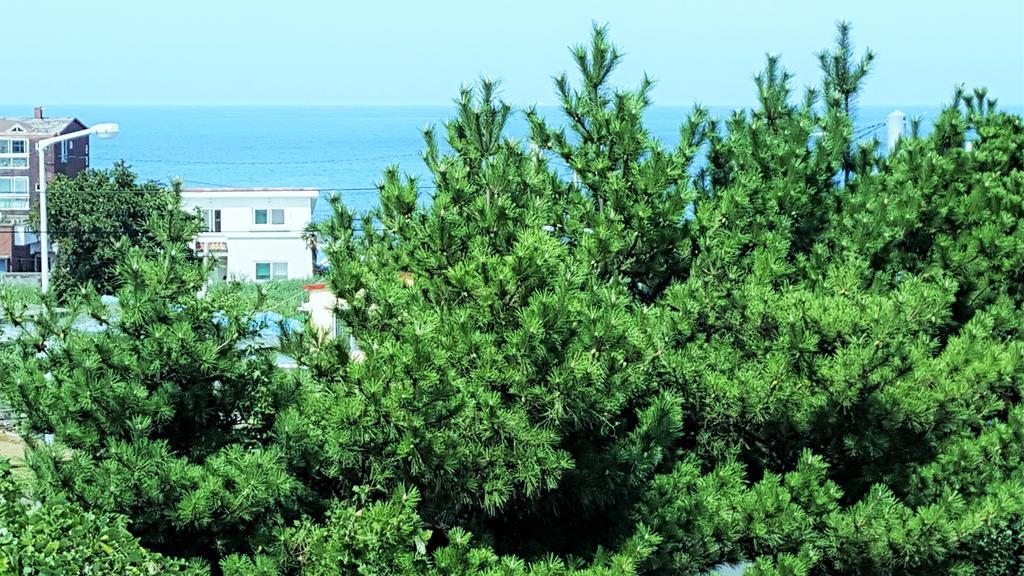 فيلا Cardinal House جيجو المظهر الخارجي الصورة